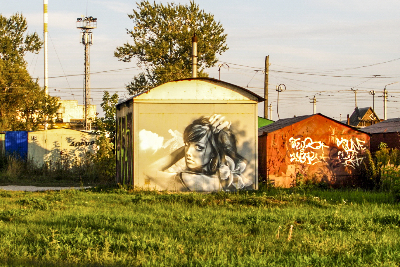 graffiti on the side of an outhouse, near some trees