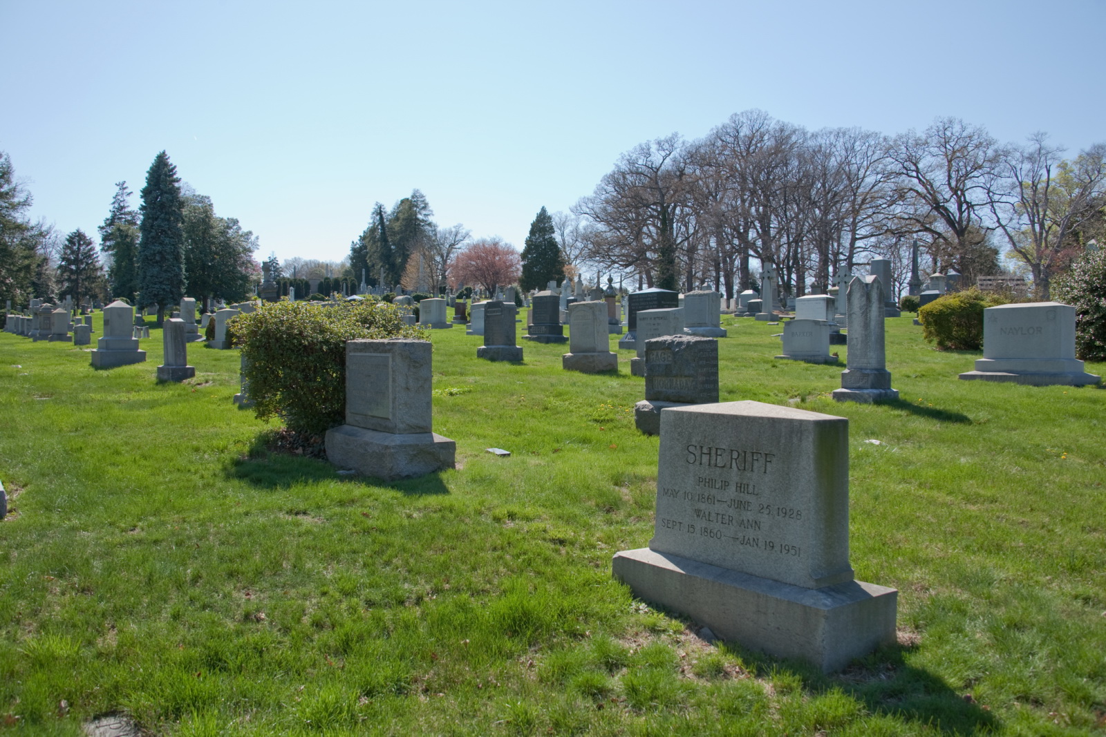 headstones in the grass with a sky background