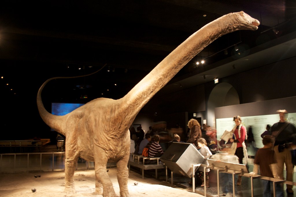an image of a life sized dinosaur on display