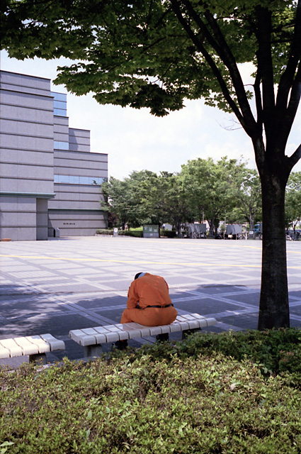 a woman sitting on a bench underneath a tree