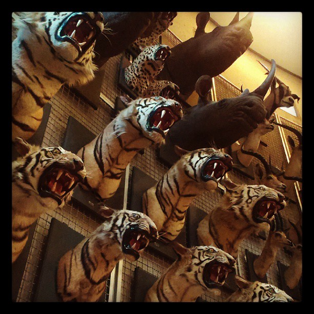 a display of stuffed tigers hanging from a ceiling