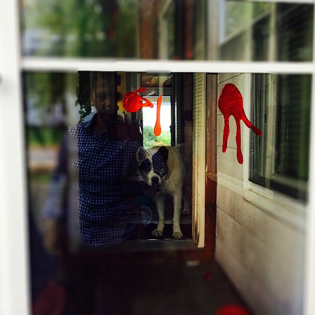 a reflection of a man holding a dog up to a door