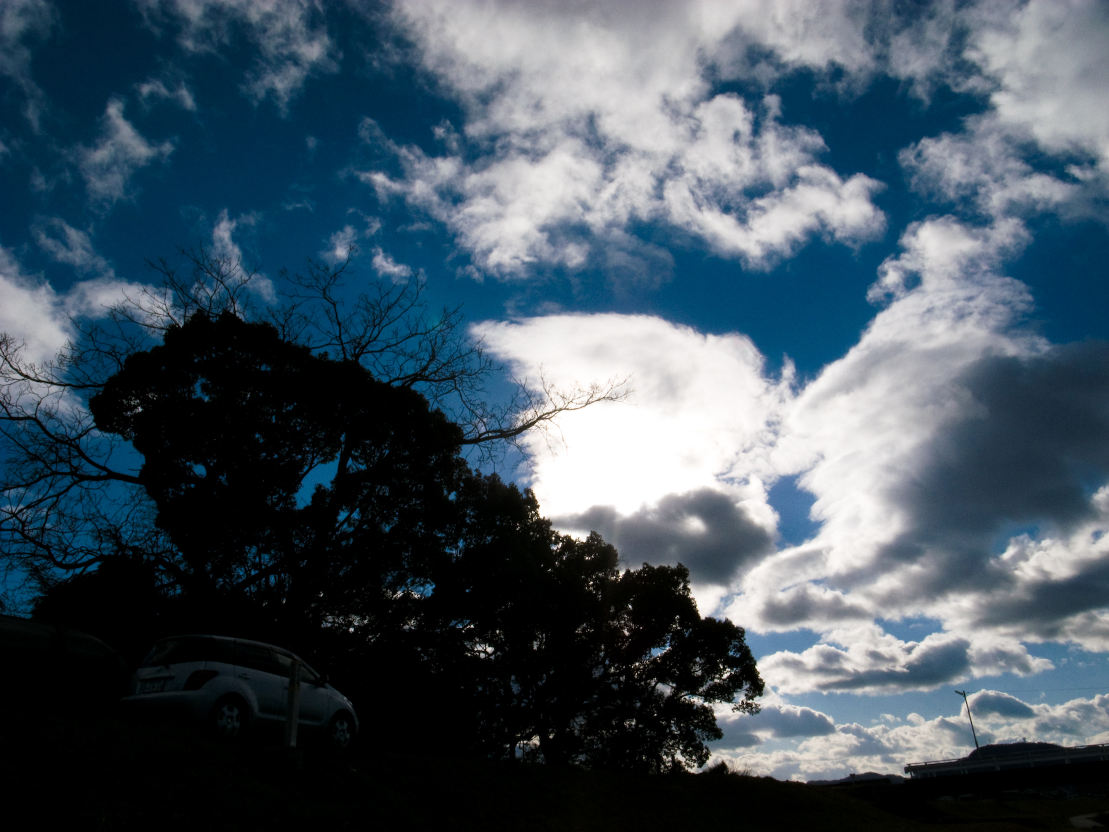 the sky over a group of trees and cars