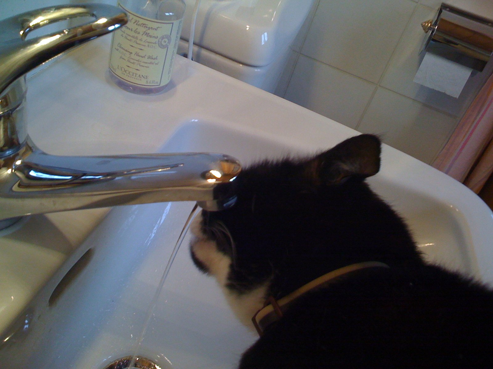 there is a black cat sitting in a sink drinking water