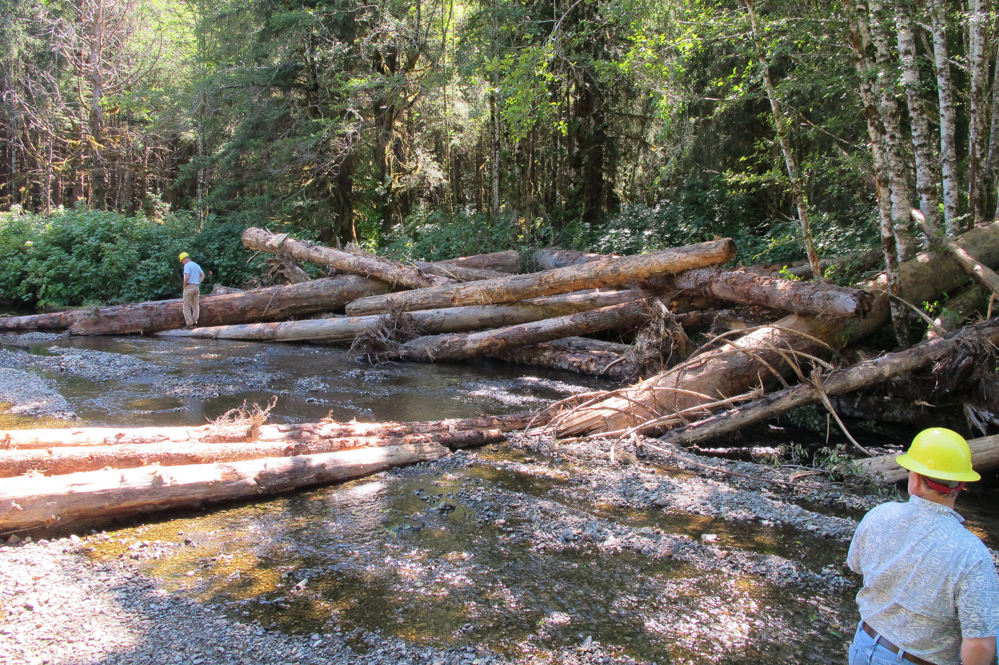 two men are standing next to a river full of logs