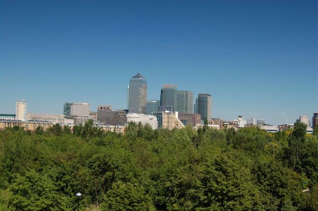 tall buildings line a city skyline behind a group of trees