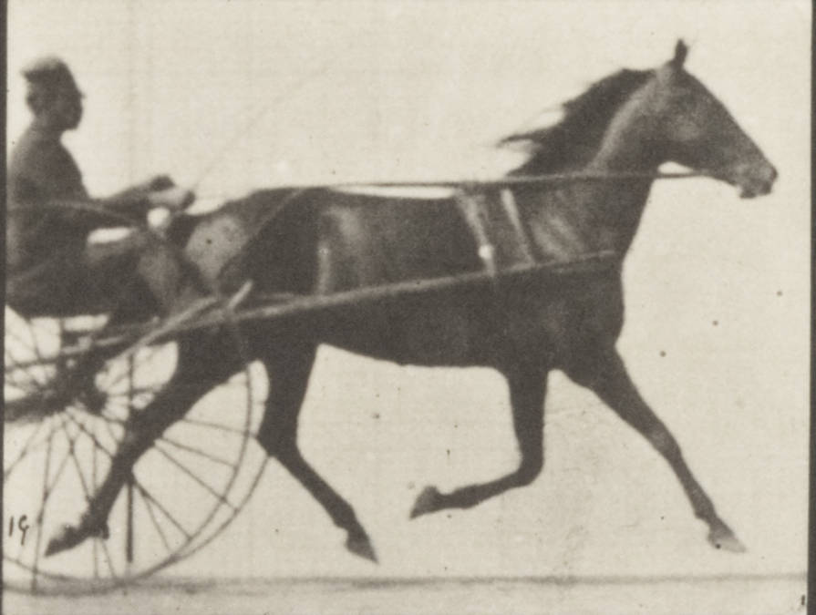 a person riding in a buggy pulled by a horse