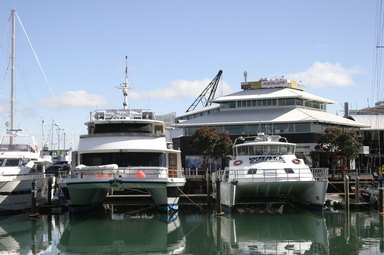 boats docked next to each other at a dock