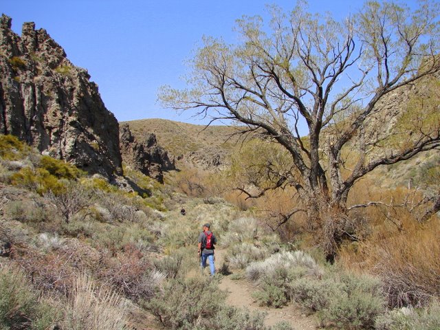 a hiker on a trail looking towards the mountain