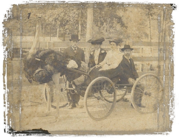 a man sitting in a carriage with a woman on the back