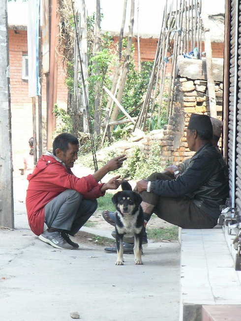 two people sitting on a sidewalk petting a dog