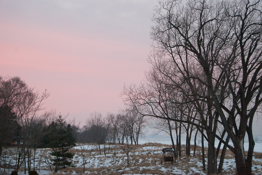 the trees line the field at sunset during the winter