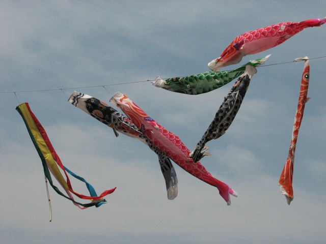 some kites that are flying in the air