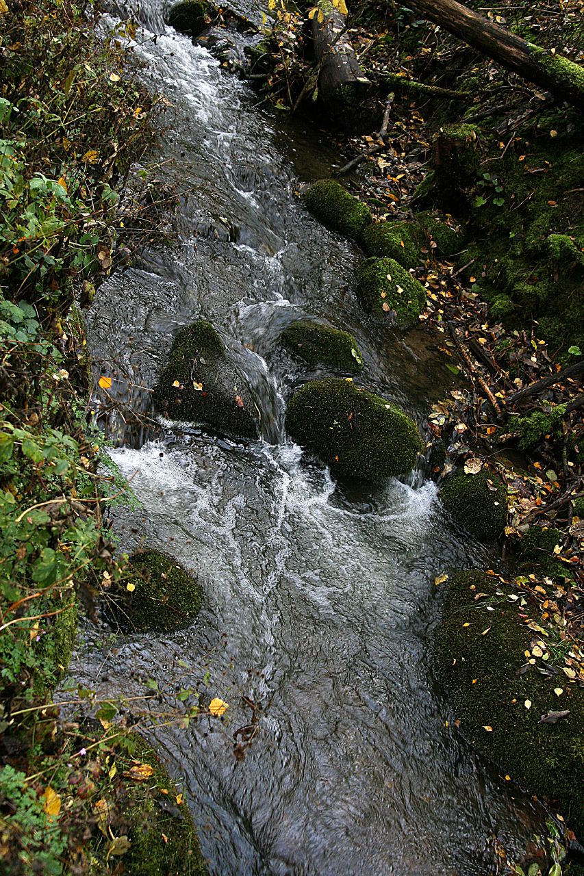 water flowing between rocks in the woods