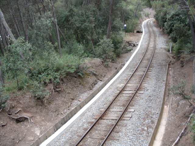 an overhead view of two train tracks going through a forest