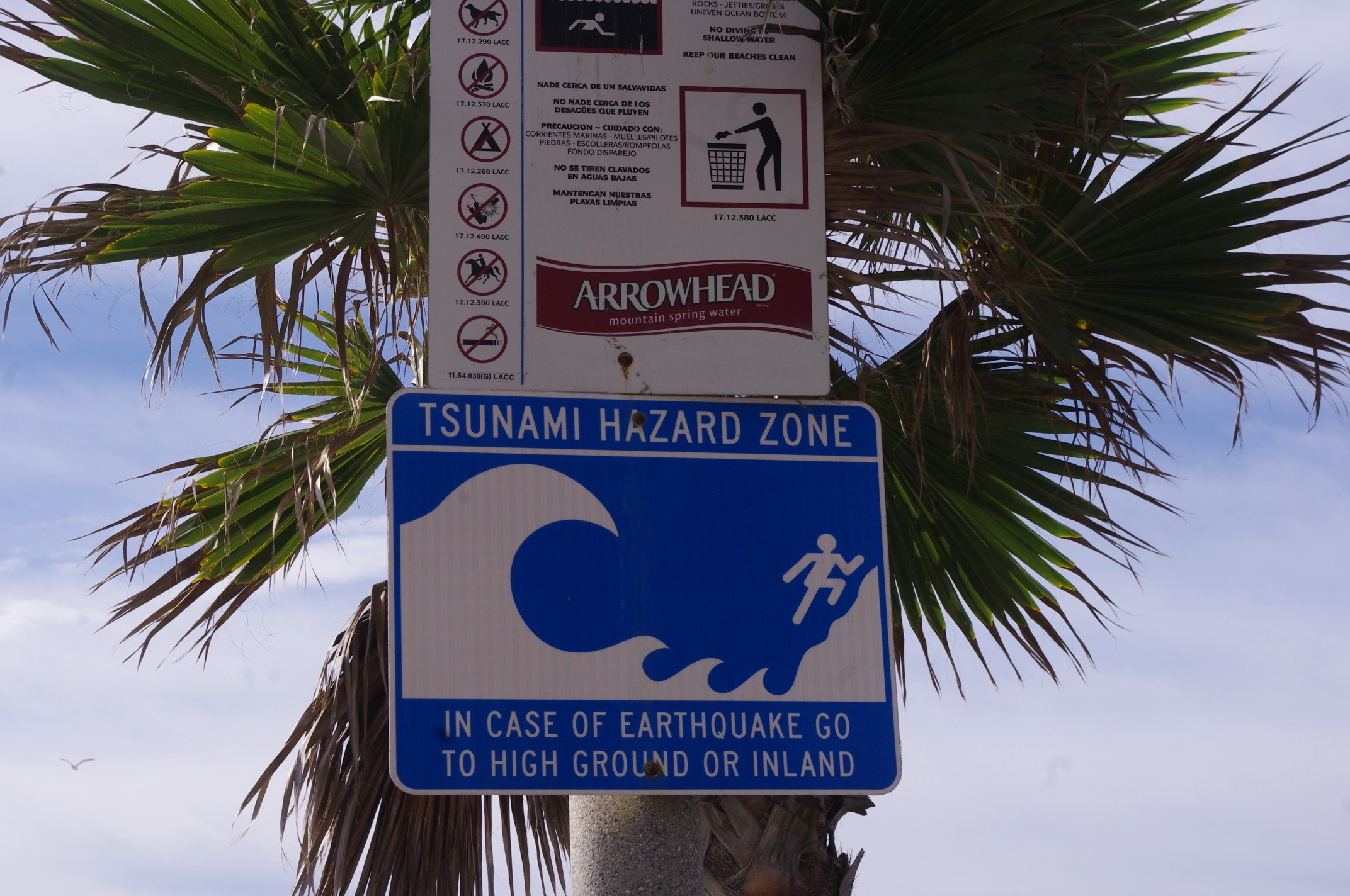 a street sign in front of a palm tree
