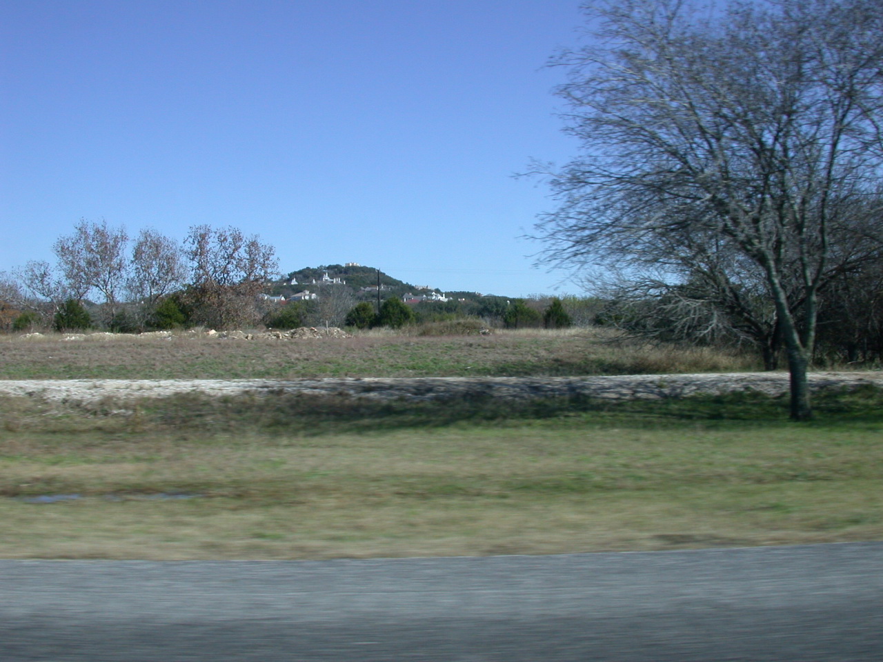 cows in the field outside near a highway