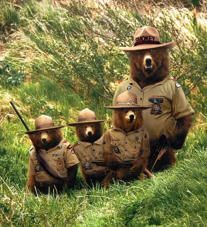 three bears wearing little sheriff suits and hats