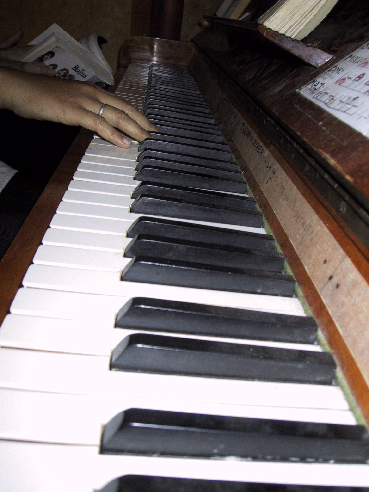 the woman is playing the piano with her hand