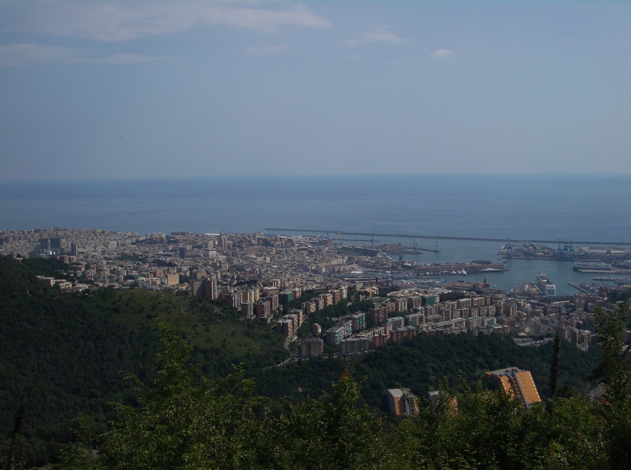 view of city from top of mountain looking down