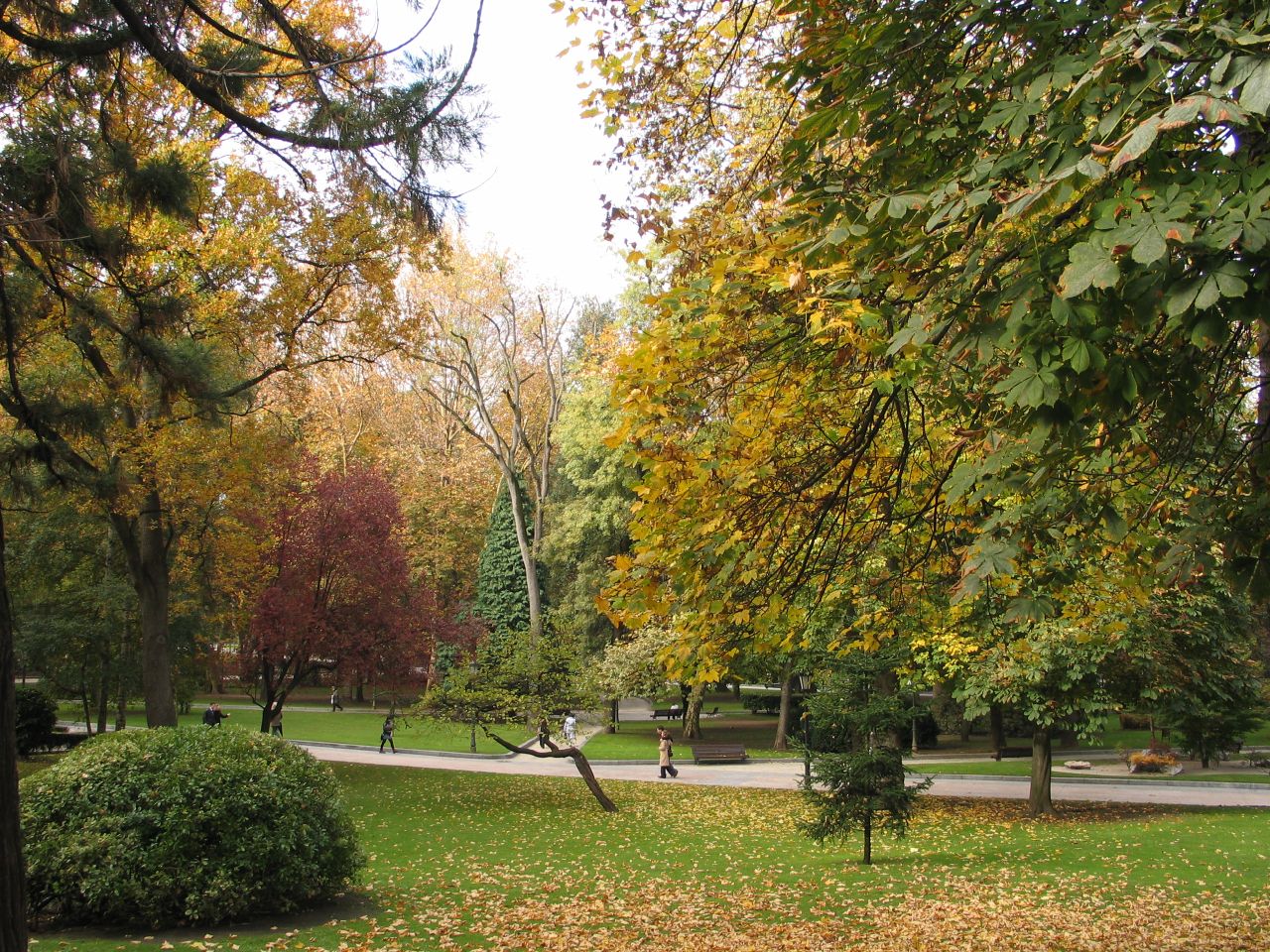 park with benches and trees in autumn colors