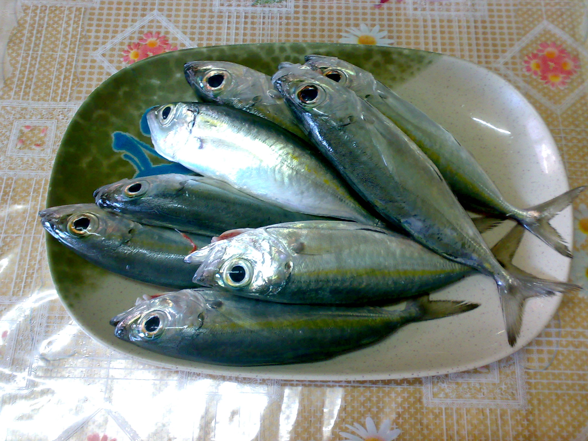 a bunch of fish are on a green plate