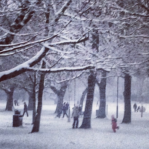people walking through a snowy park near trees