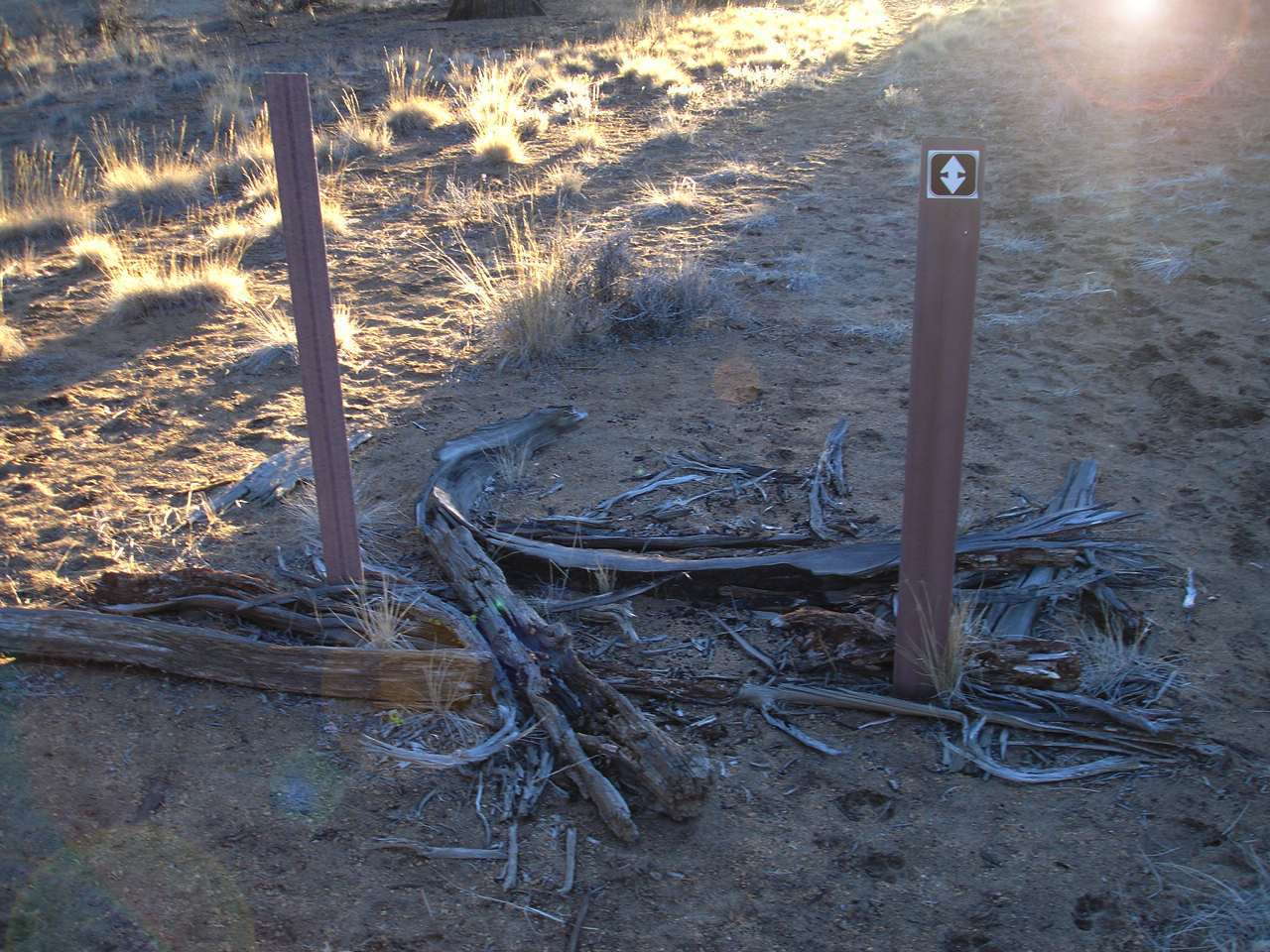 a trail marker sits abandoned in the grass