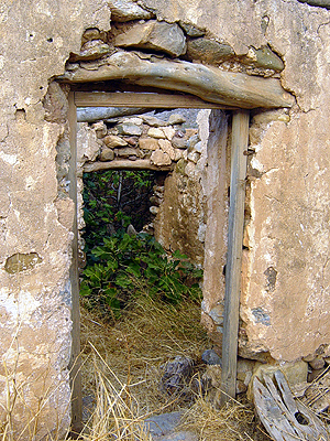 a stone archway and a broken down door with plants