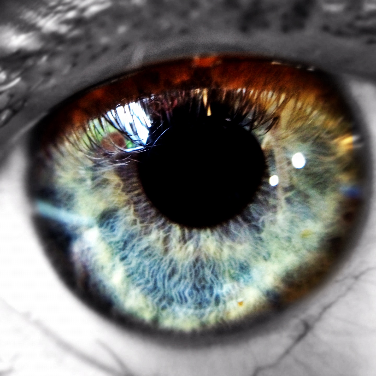 a blue and brown eye with very small amounts of light