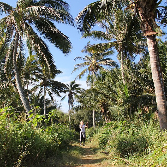 three people are standing on a path between several palm trees