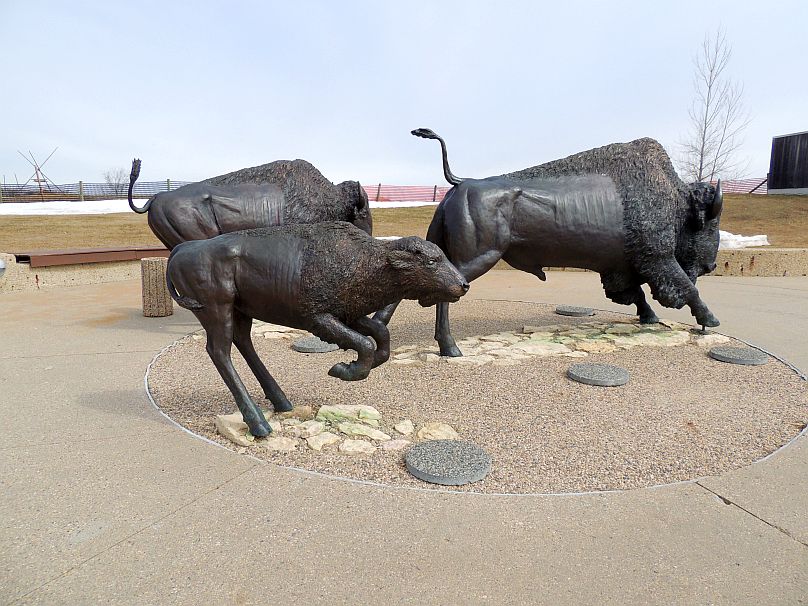 a bull is fighting with another bull that has been placed on the ground