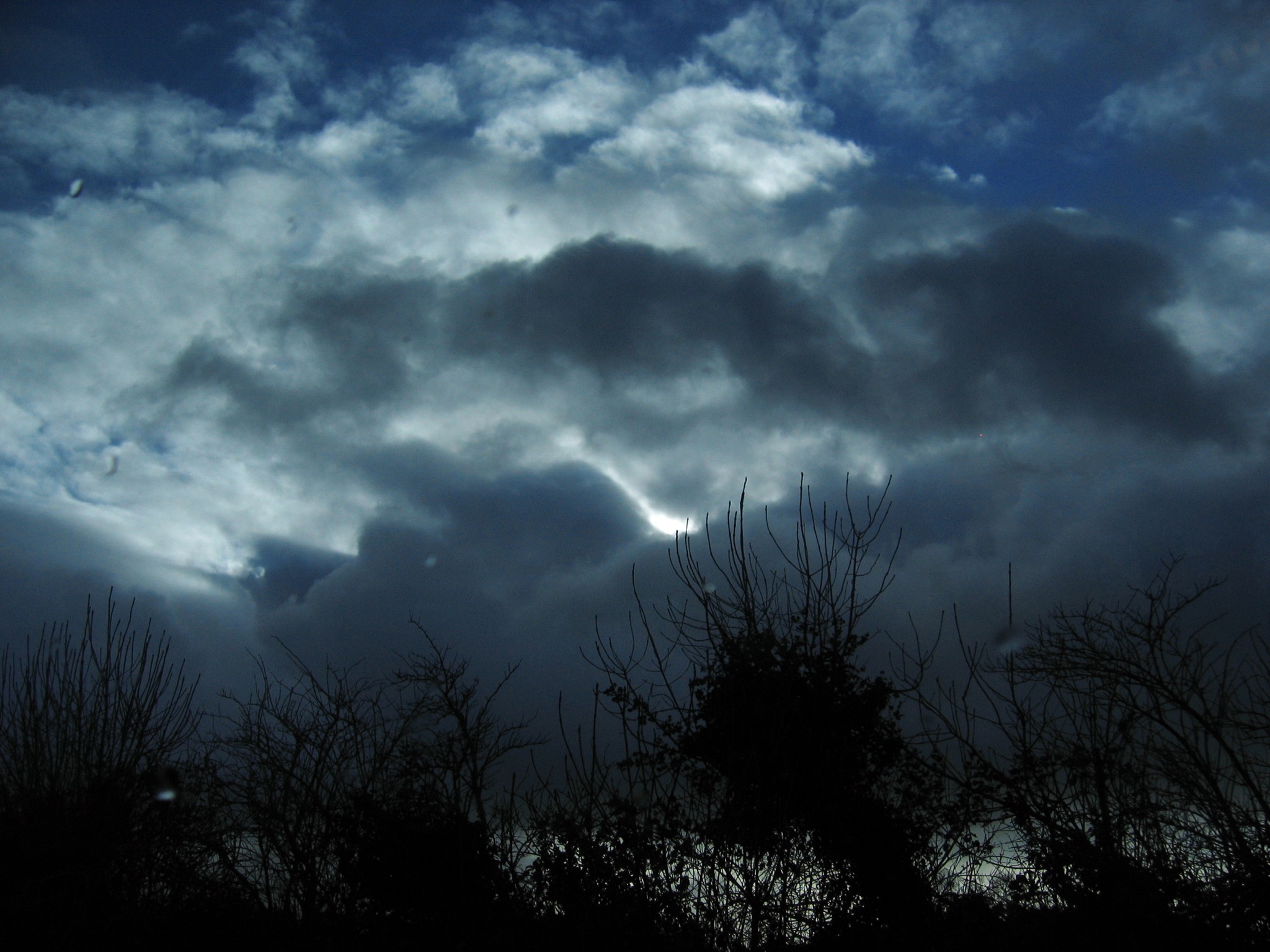 a cloudy day sky and trees with dark clouds in the background