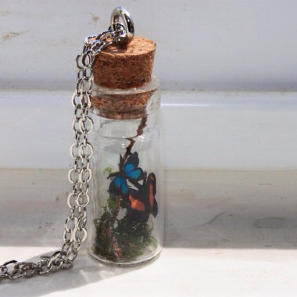 a erfly and a erfly in a jar of sand and necklaces