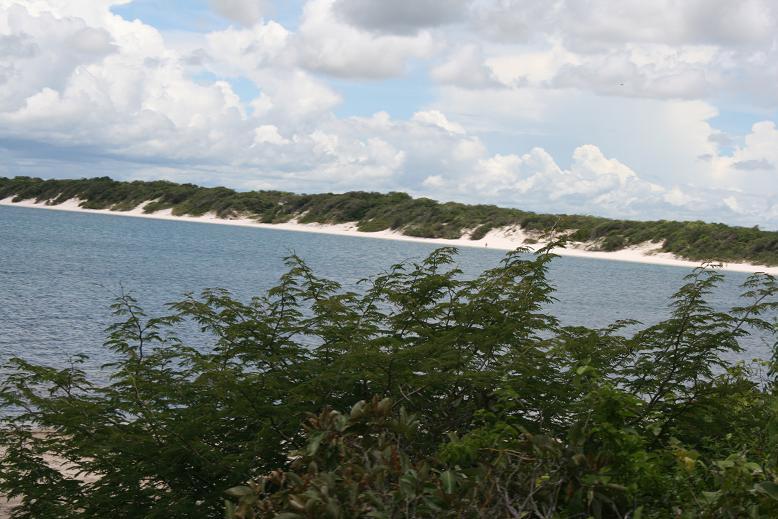 a view of a beach and trees from outside