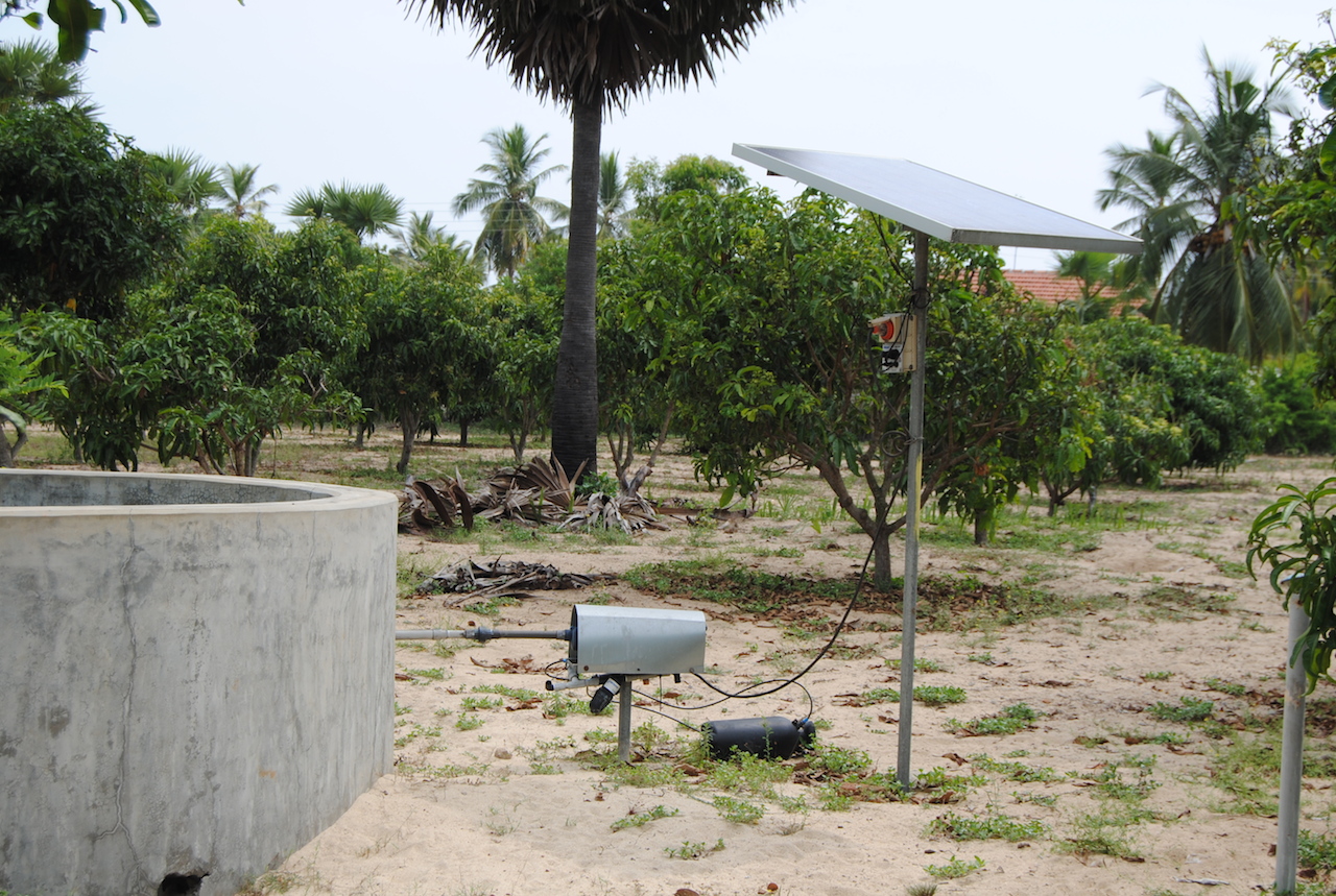 some green bushes trees and a water tank