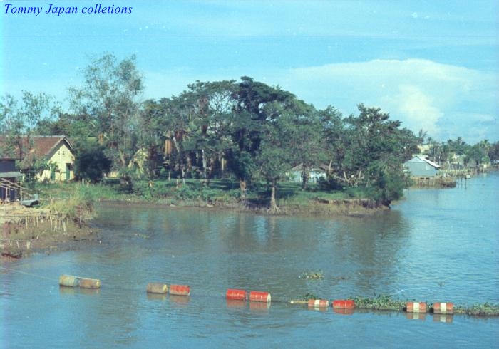 a river with several red buoys floating in it
