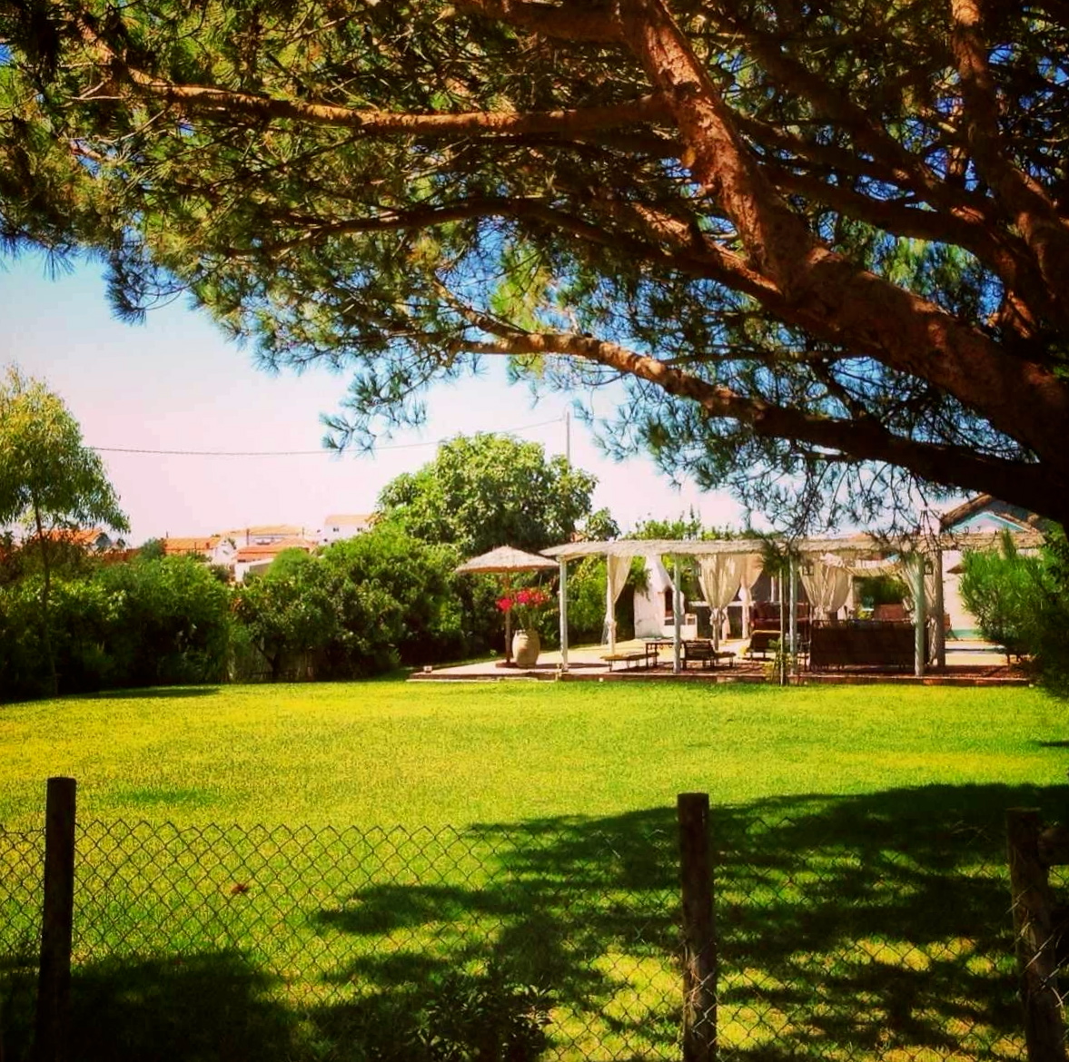 a backyard that has some chairs and trees