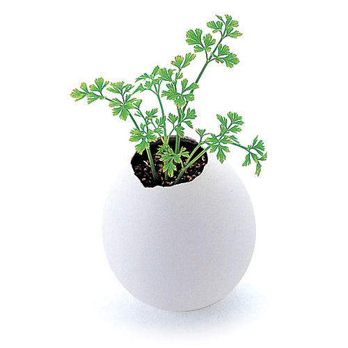 a green plant sitting in a white vase