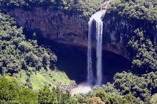 a tall waterfall is surrounded by a forest