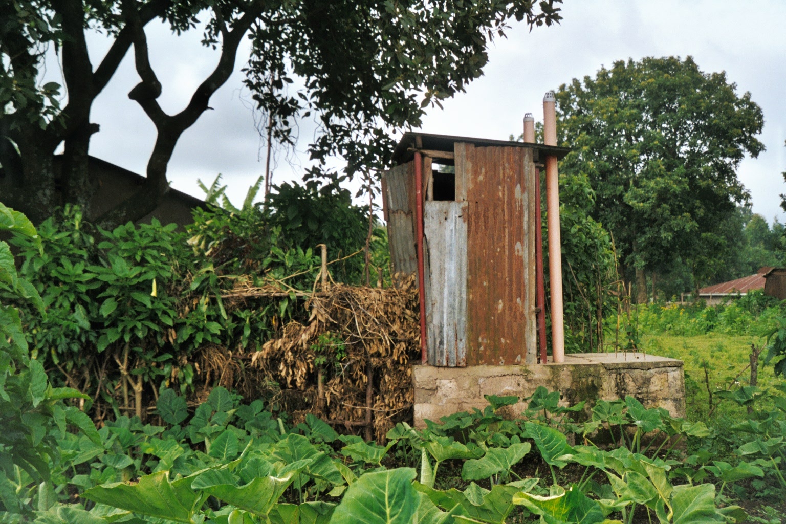 an outhouse in the middle of a lush green field