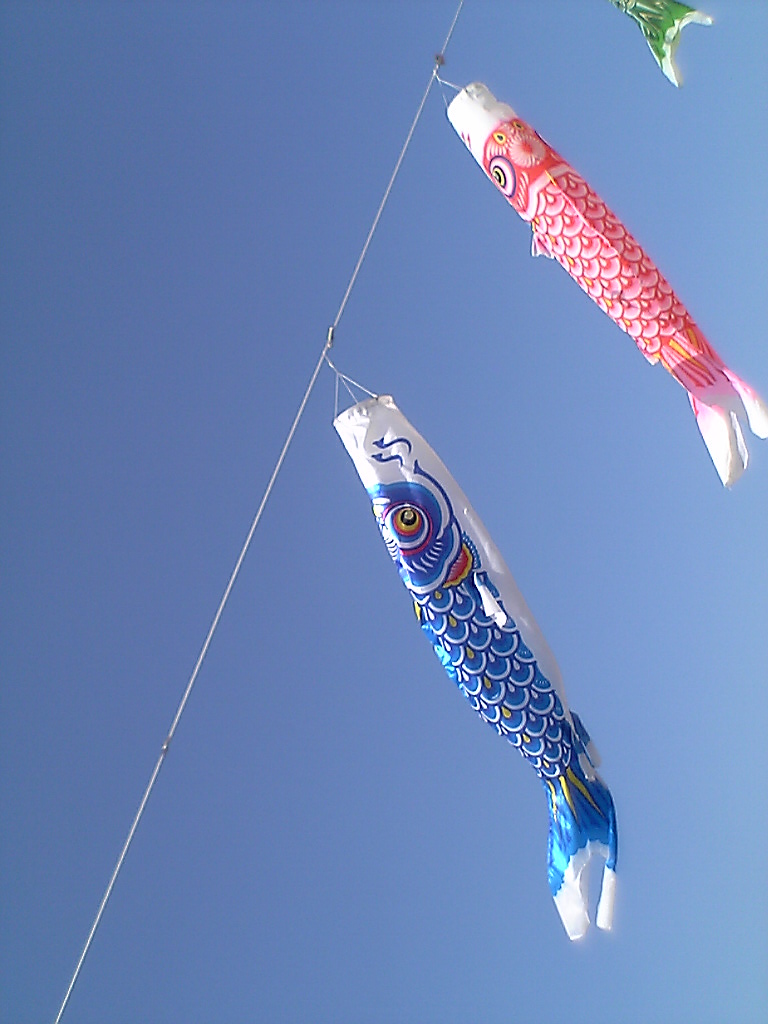 two kites with fish design, some shaped like fish