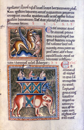 an illuminated book with a medieval illustration of elephants and lions