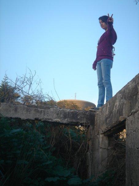 a girl on top of a fence