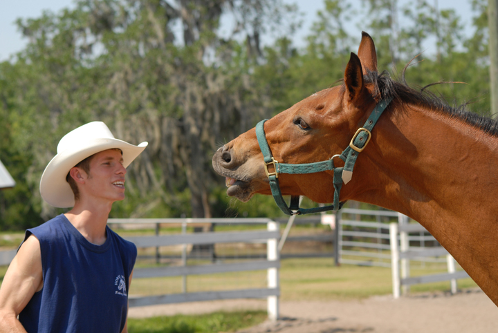 a man smiling and standing next to a brown horse