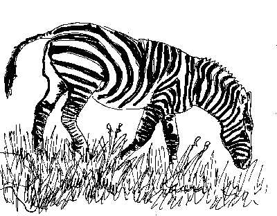 a drawing of a ze walking through the grass
