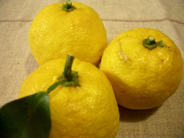 three lemons sitting on top of a tan linen
