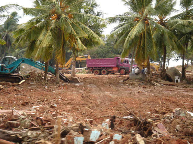 a construction site with trees and a bulldozer