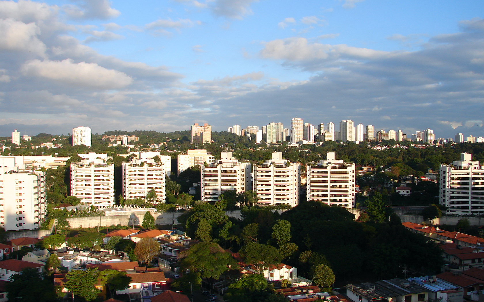 view of high rise buildings and trees from above