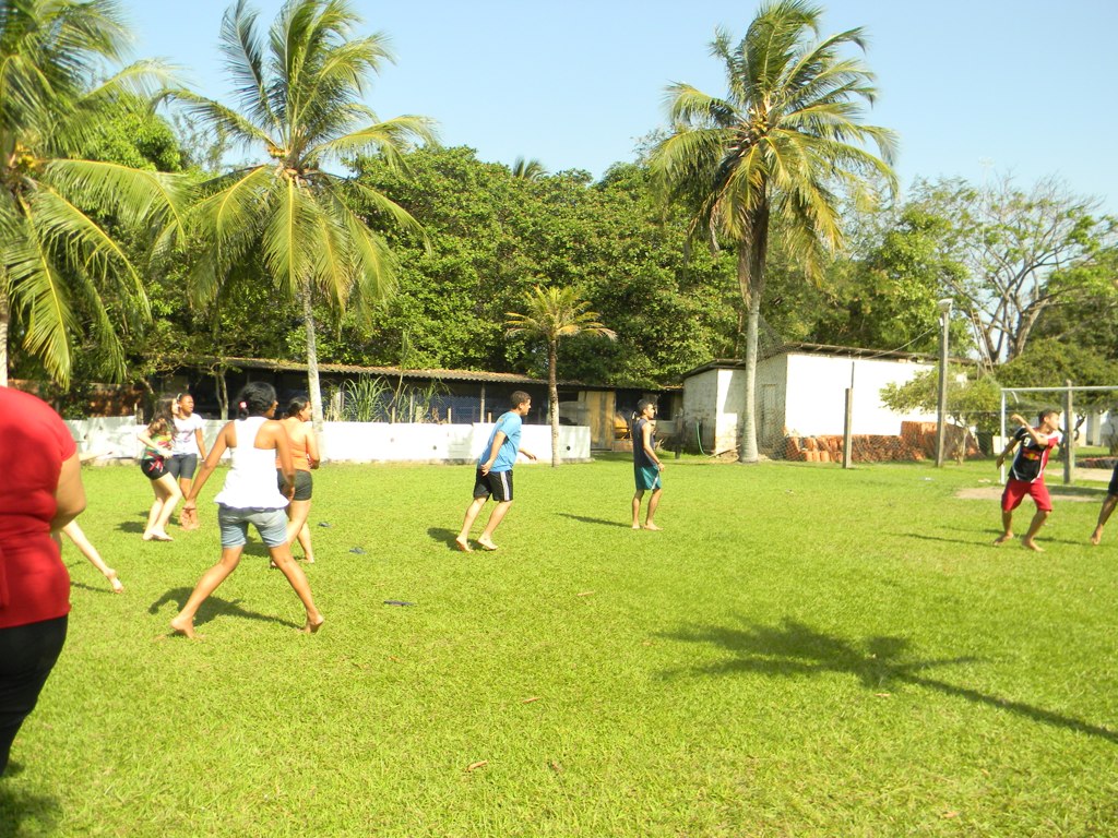 many people are playing football together in the grass